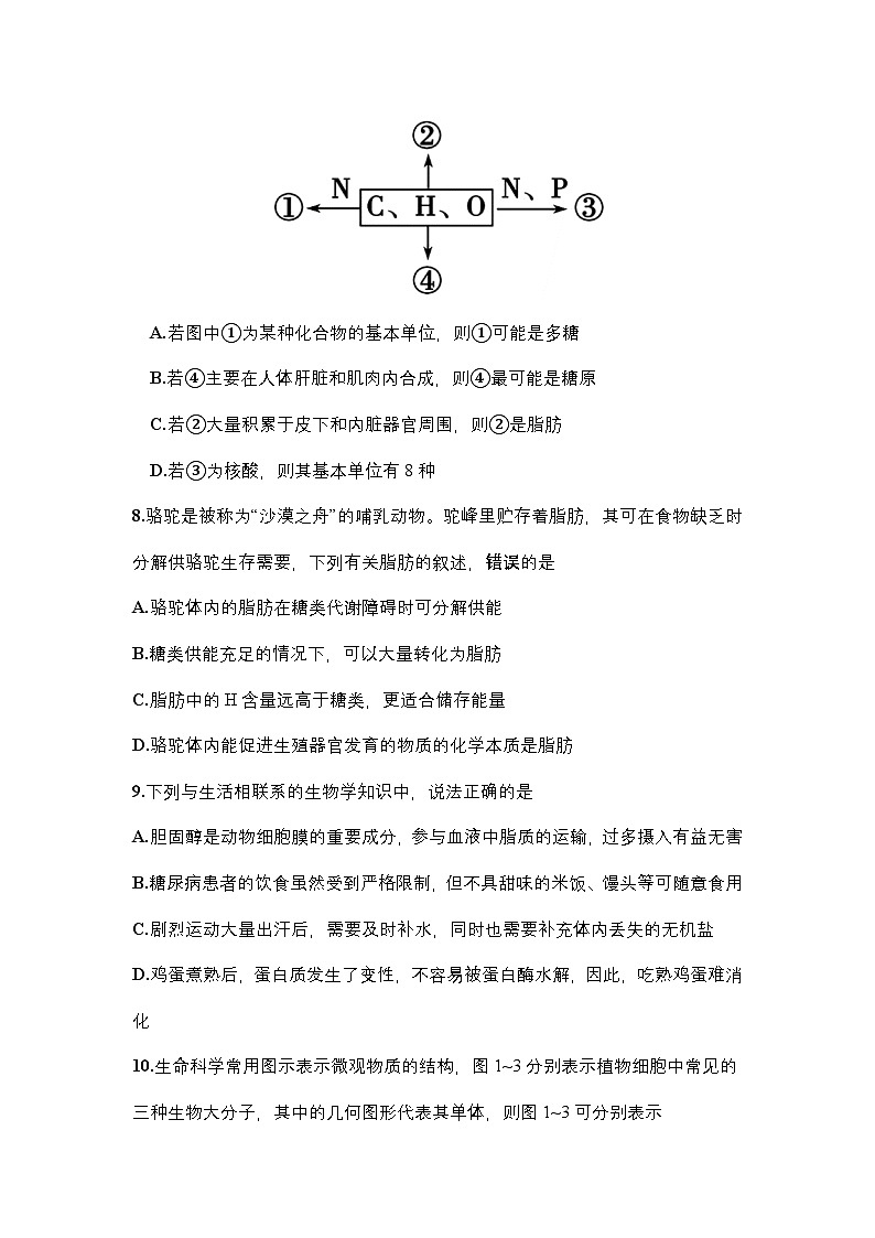 河南省郑州市十校2024-2025学年高一上学期期中联考生物试卷第3页