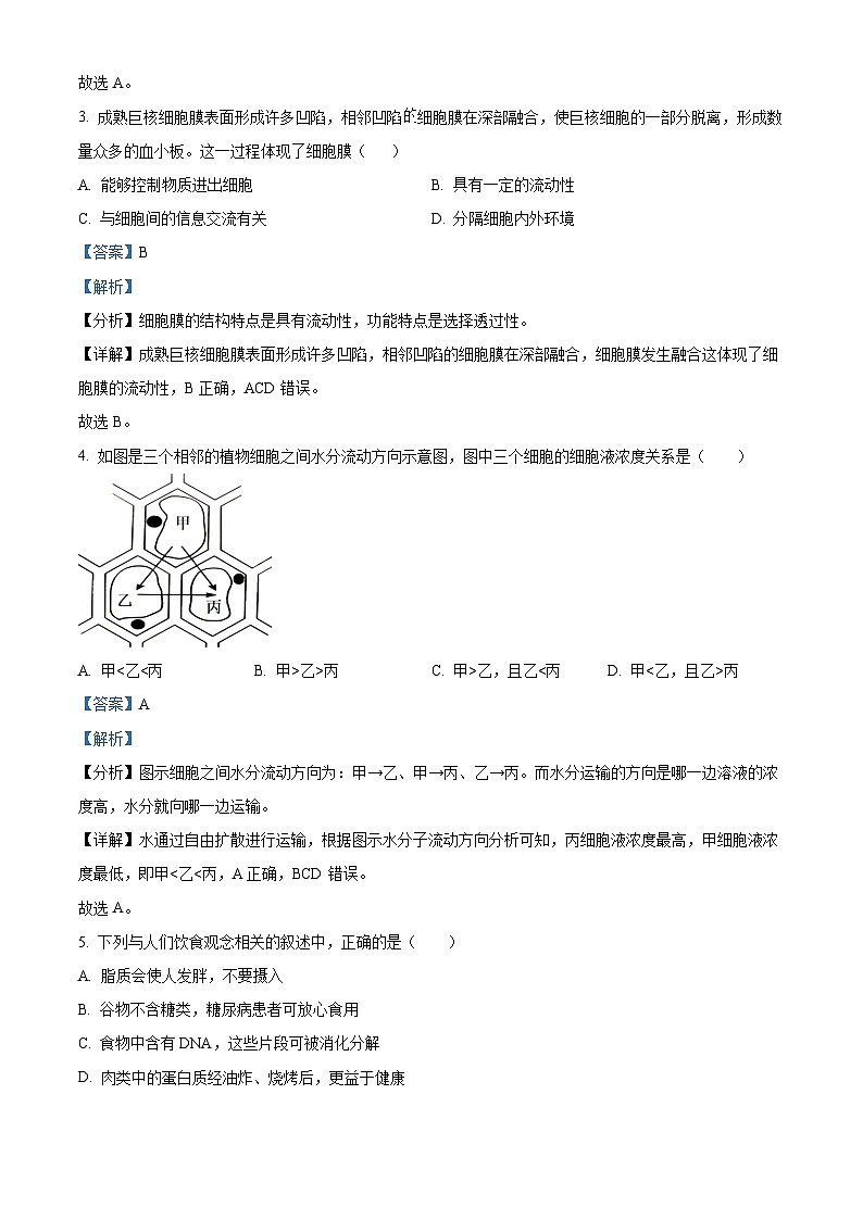 2024年北京市第二次普通高中学业水平合格性考试生物试卷 Word版含解析第2页