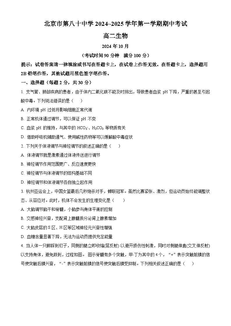 北京市第八十中学2024-2025学年高二上学期期中考试生物试题 Word版无答案第1页