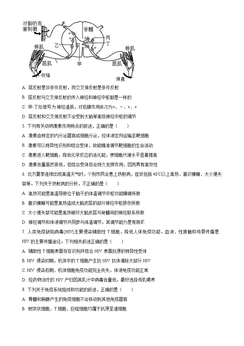 北京市第八十中学2024-2025学年高二上学期期中考试生物试题 Word版无答案第2页