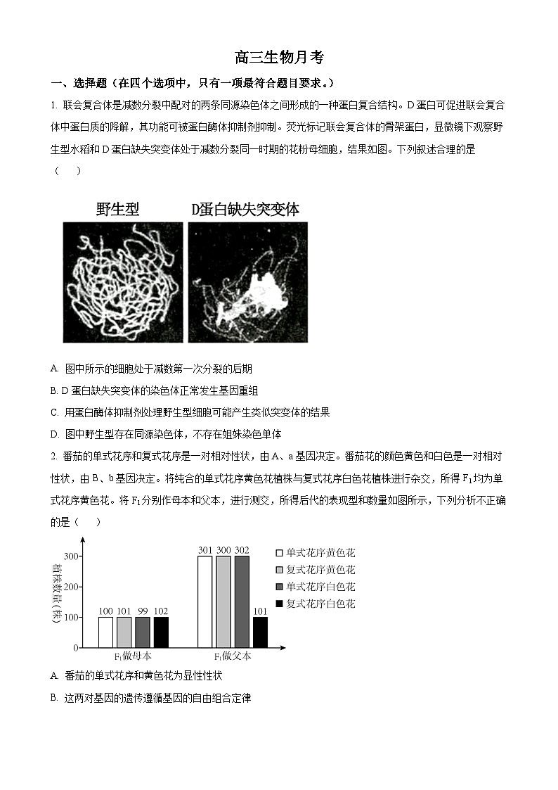 北京市师范大学第三附属中学2024-2025学年高三上学期10月月考生物试题（Word版附解析）01