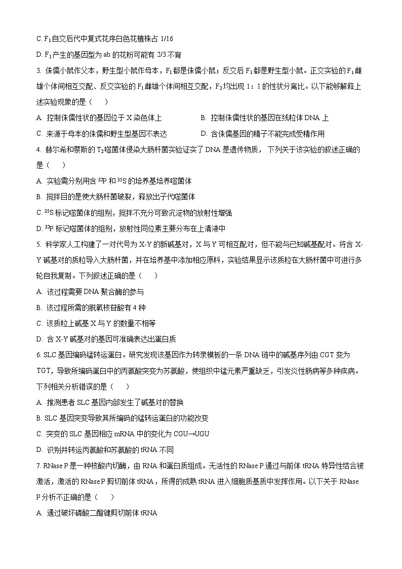北京市师范大学第三附属中学2024-2025学年高三上学期10月月考生物试题（Word版附解析）02
