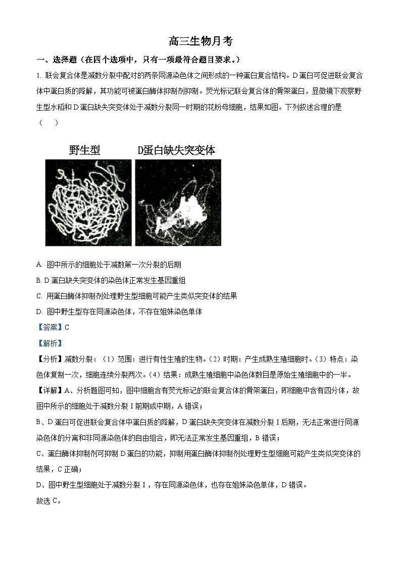 北京市师范大学第三附属中学2024-2025学年高三上学期10月月考生物试题（Word版附解析）01
