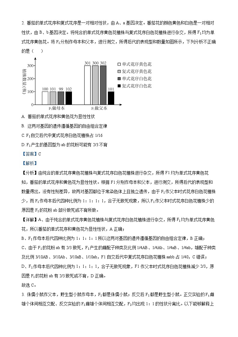 北京市师范大学第三附属中学2024-2025学年高三上学期10月月考生物试题（Word版附解析）02