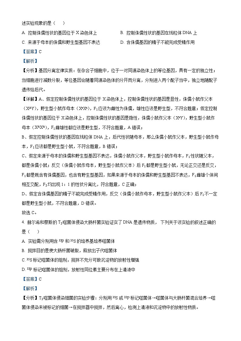 北京市师范大学第三附属中学2024-2025学年高三上学期10月月考生物试题（Word版附解析）03