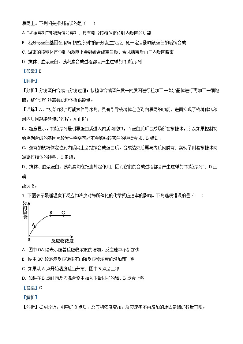 河北省保定市2024-2025学年高三上学期10月期中生物试题 Word版含解析第2页
