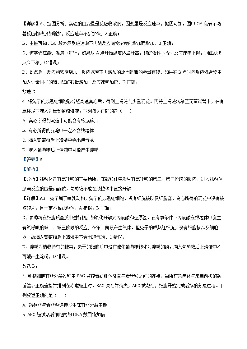 河北省保定市2024-2025学年高三上学期10月期中生物试题 Word版含解析第3页