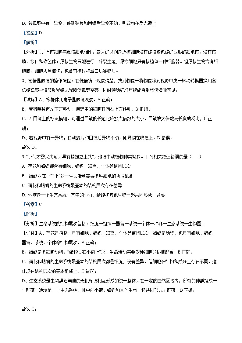 河北省沧州市四县联考2024-2025学年高一上学期10月月考生物试题 Word版含解析第2页