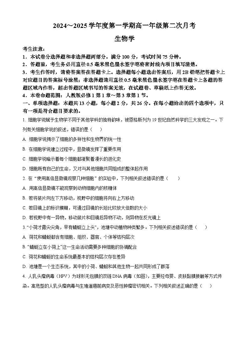 河北省沧州市四县联考2024-2025学年高一上学期10月月考生物试题 Word版无答案第1页