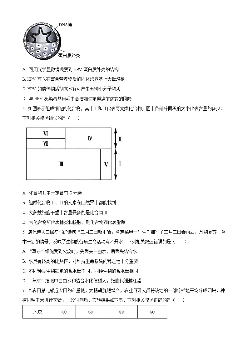 河北省沧州市四县联考2024-2025学年高一上学期10月月考生物试题 Word版无答案第2页