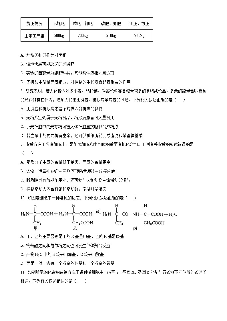 河北省沧州市四县联考2024-2025学年高一上学期10月月考生物试题 Word版无答案第3页