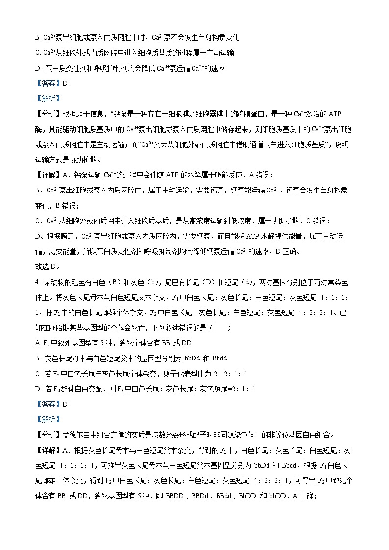 河北省邯郸市部分校2024-2025学年高三上学期第二次联考生物试题（Word版附解析）03