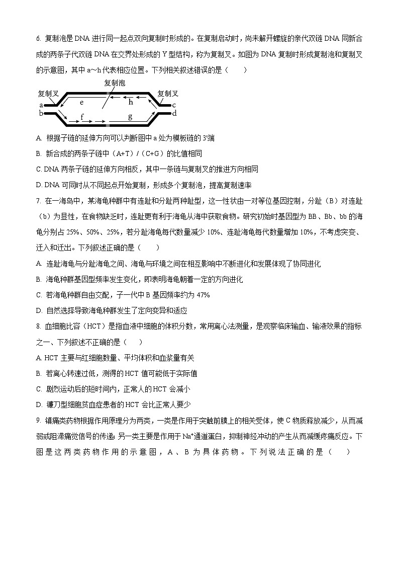 河北省邯郸市部分校2024-2025学年高三上学期第二次联考生物试题（Word版附解析）03