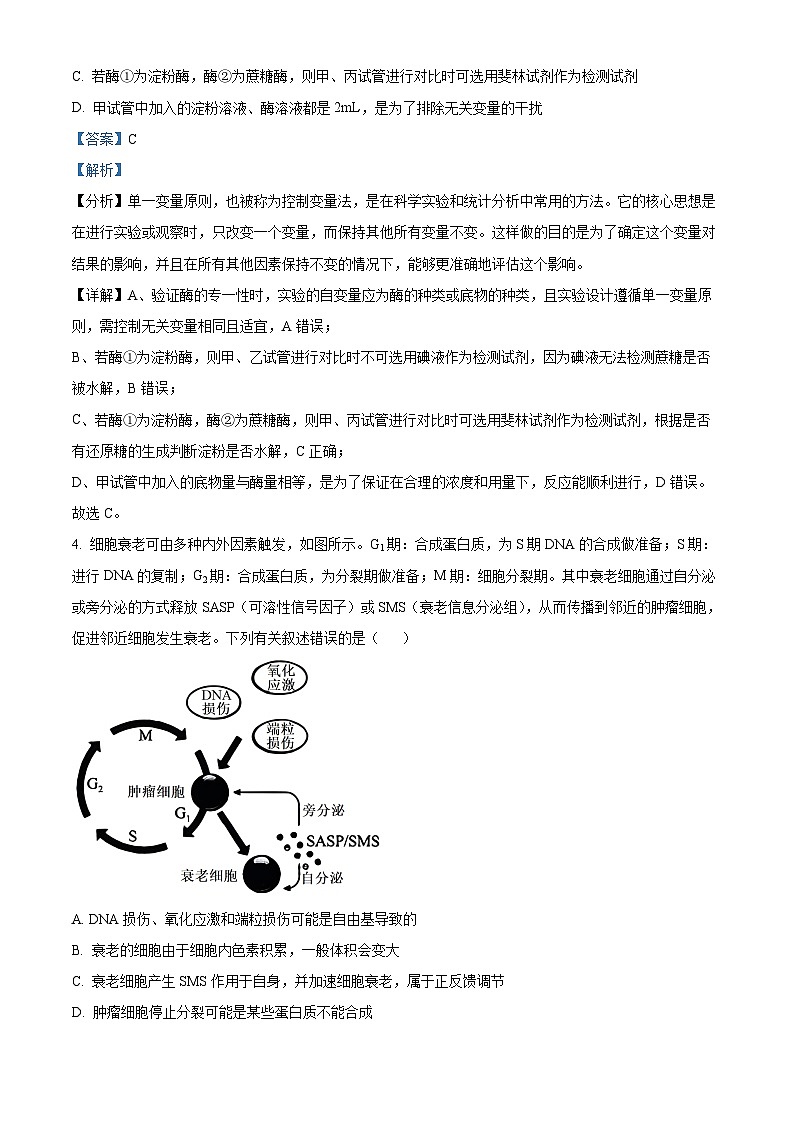 河北省邯郸市部分校2024-2025学年高三上学期月考生物试卷（一） Word版含解析第3页