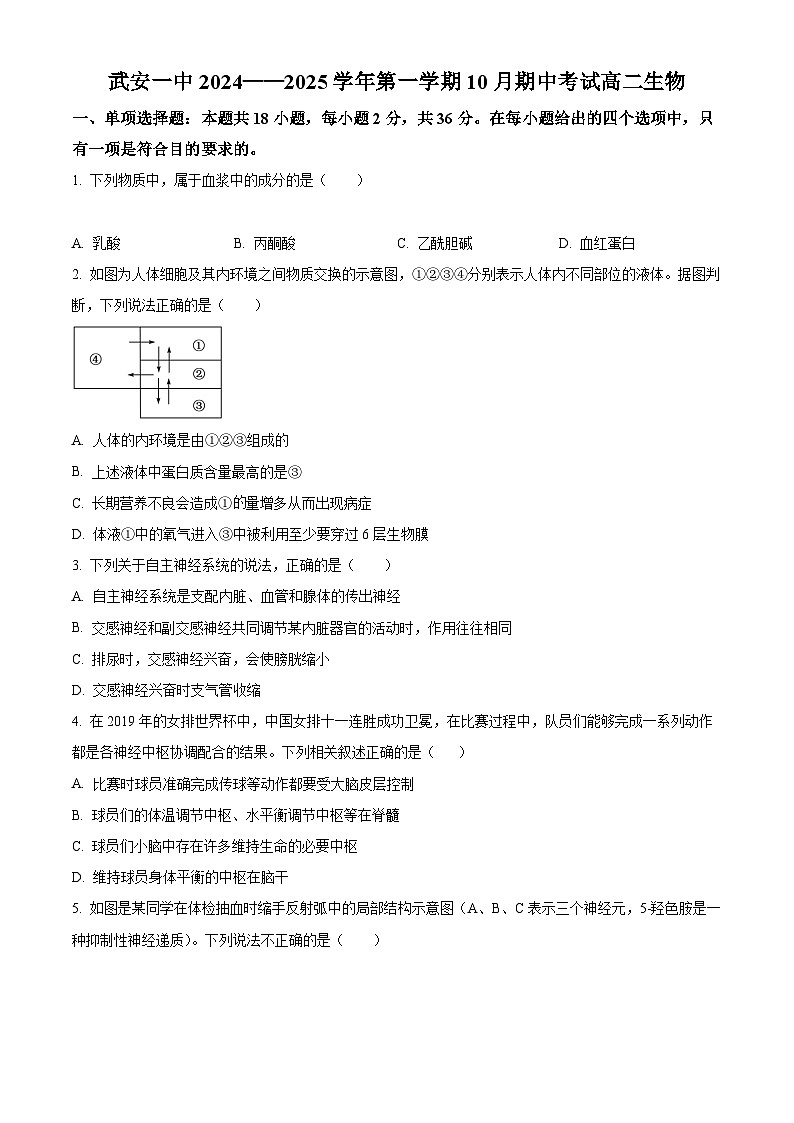河北省邯郸市武安市第一中学2024-2025学年高二上学期10月期中考试生物试题（Word版附解析）01