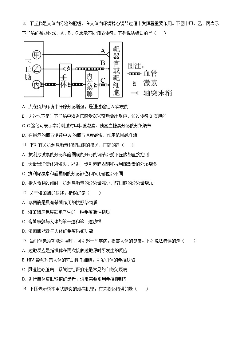 河北省邯郸市武安市第一中学2024-2025学年高二上学期10月期中考试生物试题（Word版附解析）03