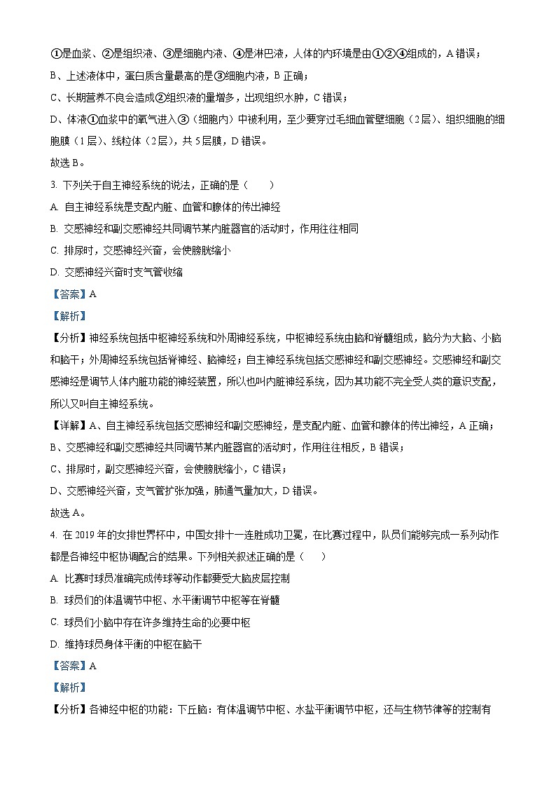 河北省邯郸市武安市第一中学2024-2025学年高二上学期10月期中考试生物试题（Word版附解析）02