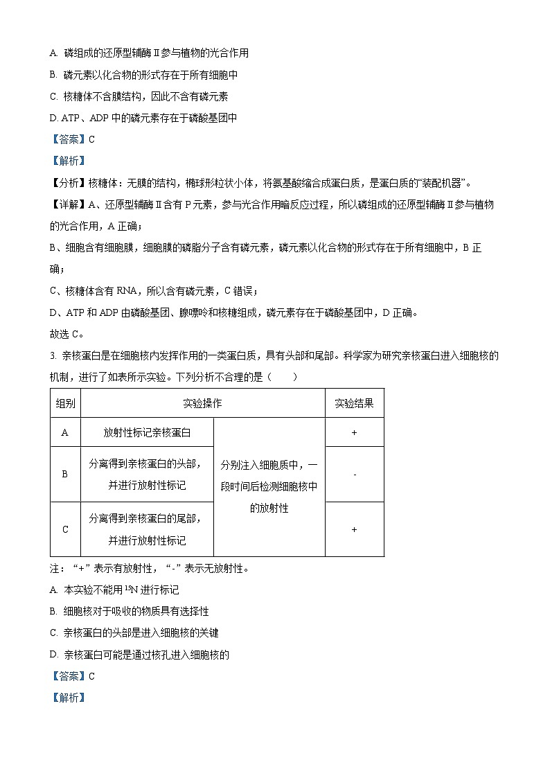 河北省衡水市桃城区2024-2025学年高三上学期10月学科素养检测生物试题 Word版含解析第2页