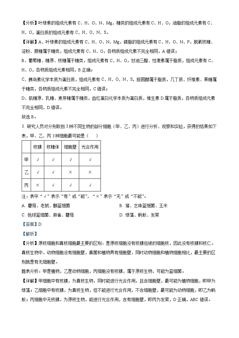 河北省衡水市武强中学2024-2025学年高三上学期期中考试生物试题 Word版含解析第2页