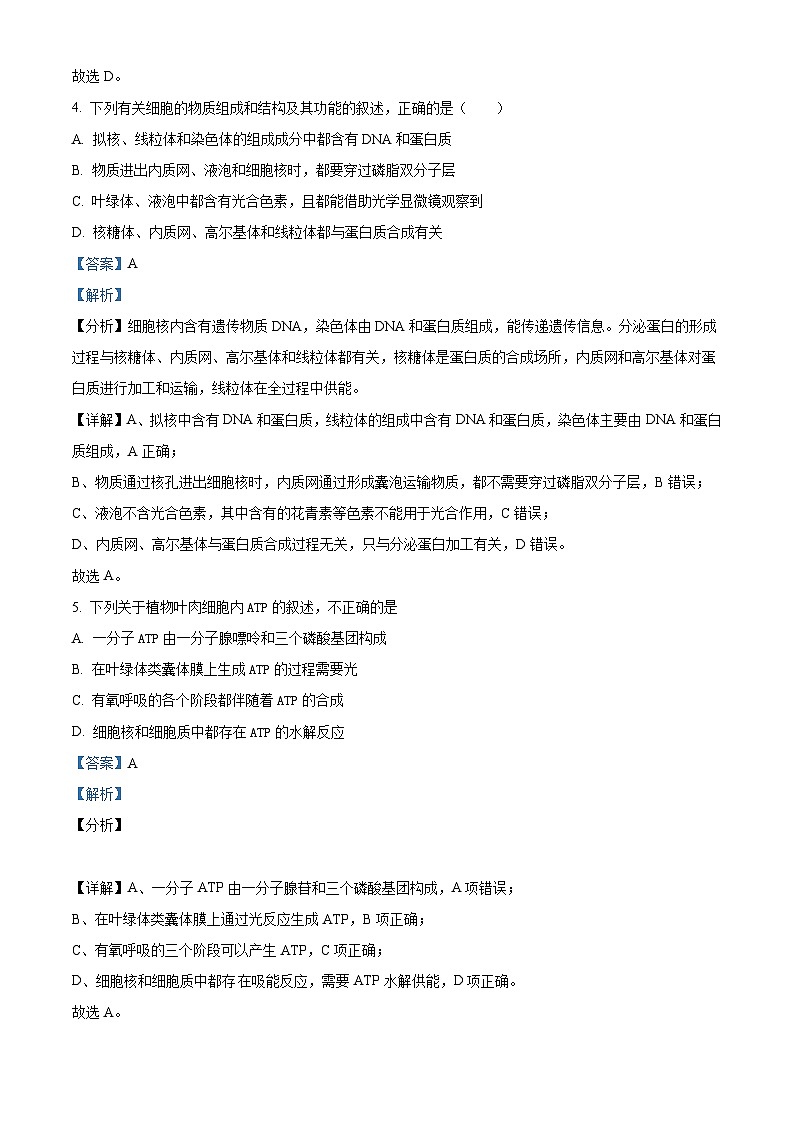 河北省衡水市武强中学2024-2025学年高三上学期期中考试生物试题 Word版含解析第3页