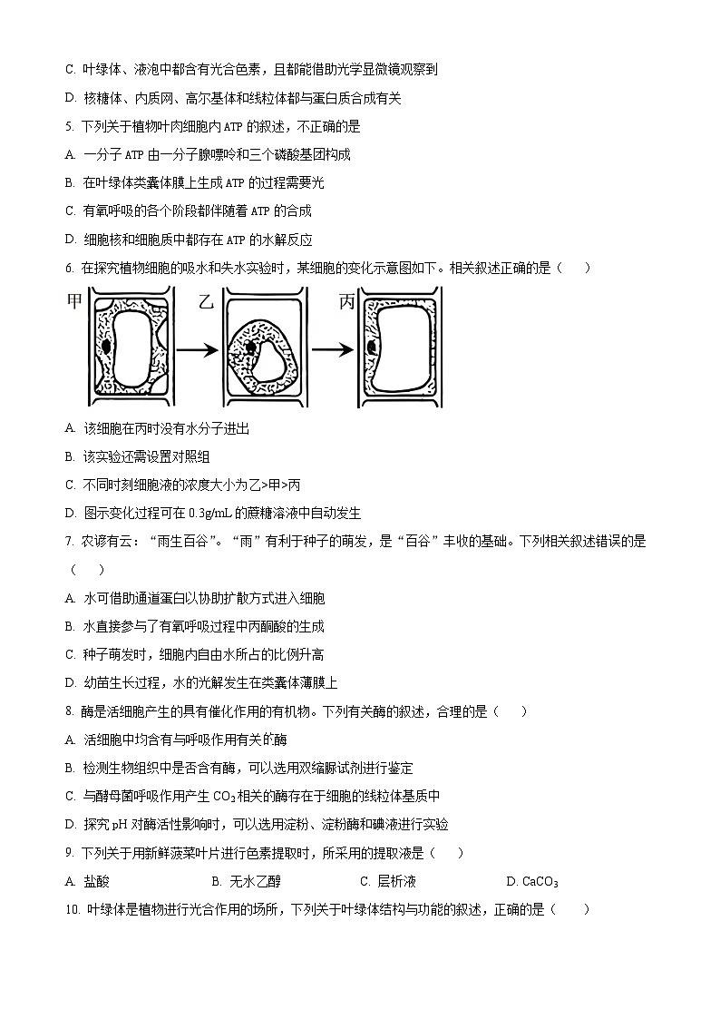 河北省衡水市武强中学2024-2025学年高三上学期期中考试生物试题 Word版无答案第2页
