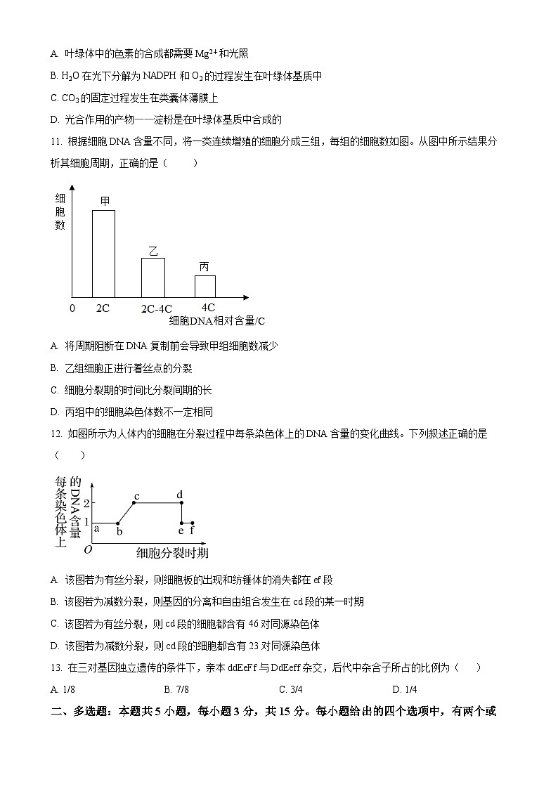 河北省衡水市武强中学2024-2025学年高三上学期期中考试生物试题 Word版无答案第3页