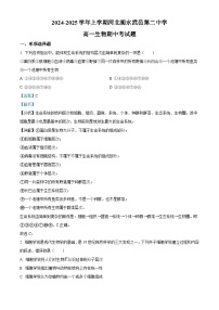 河北省衡水市武邑县第二中学2024-2025学年高一上学期期中考试生物试题（Word版附解析）