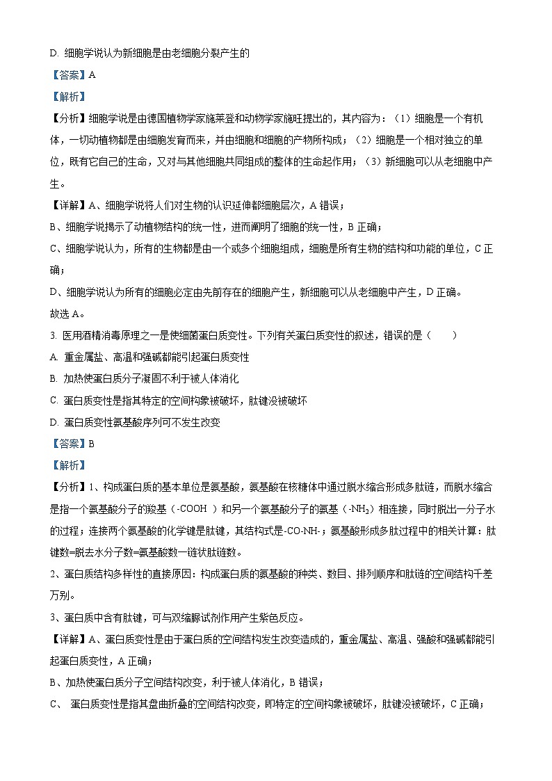 河北省衡水市武邑县第二中学2024-2025学年高一上学期期中考试生物试题（Word版附解析）02