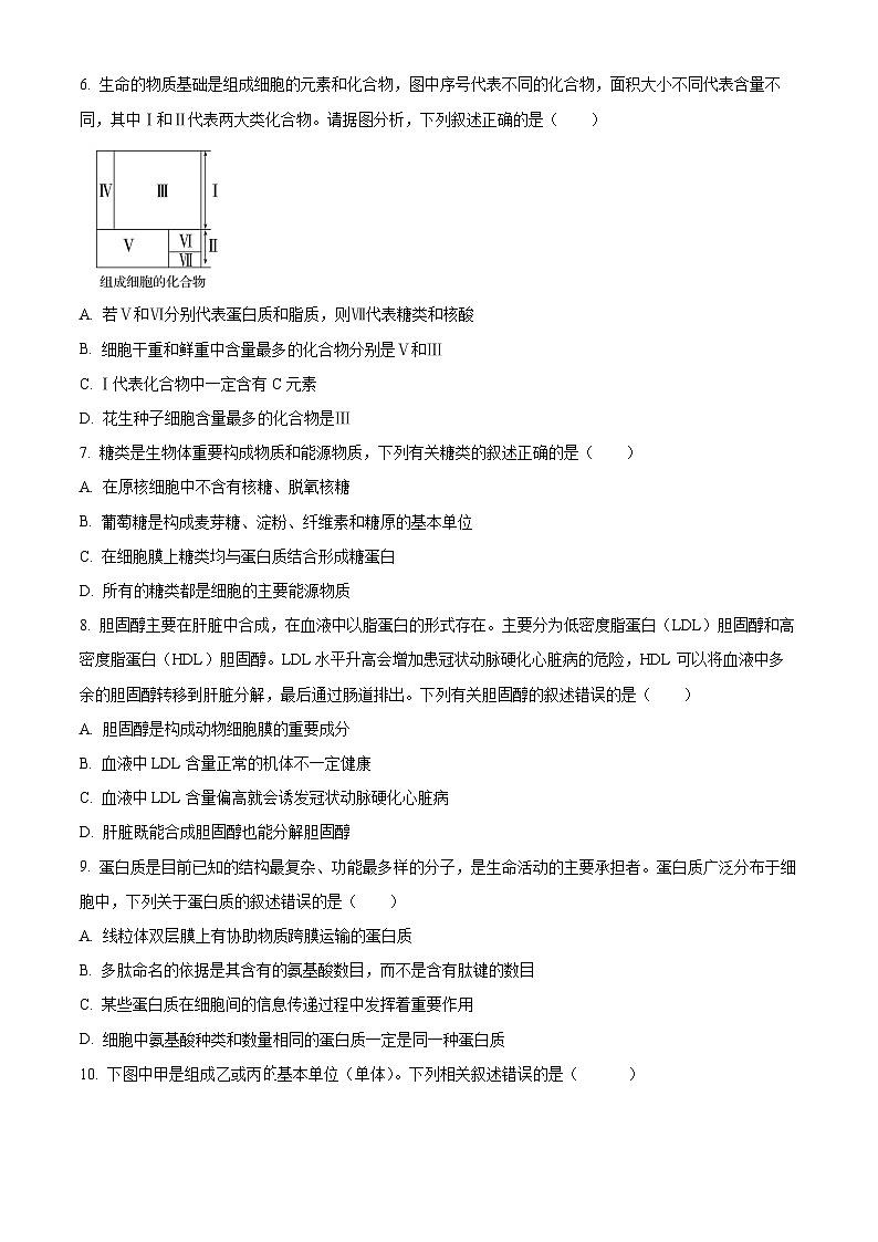 河北省衡水市武邑县第二中学2024-2025学年高一上学期期中考试生物试题（Word版附解析）02