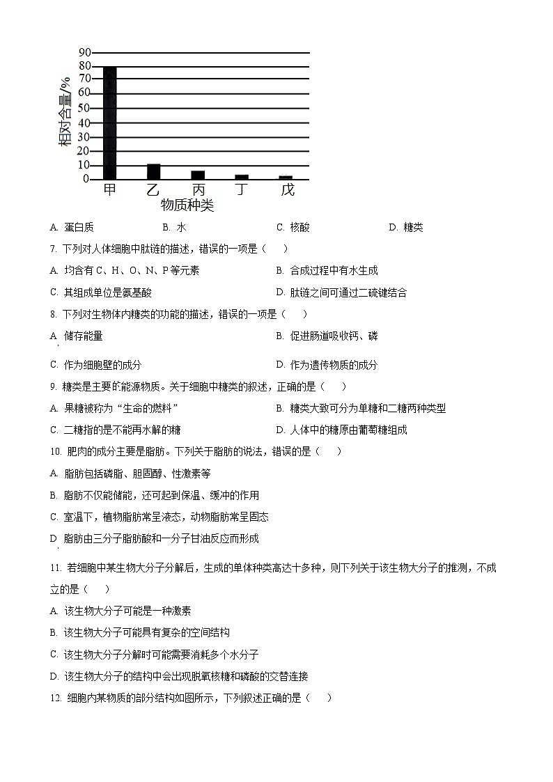 河北省唐山市2024-2025学年高一上学期10月联考生物试卷  Word版无答案第2页