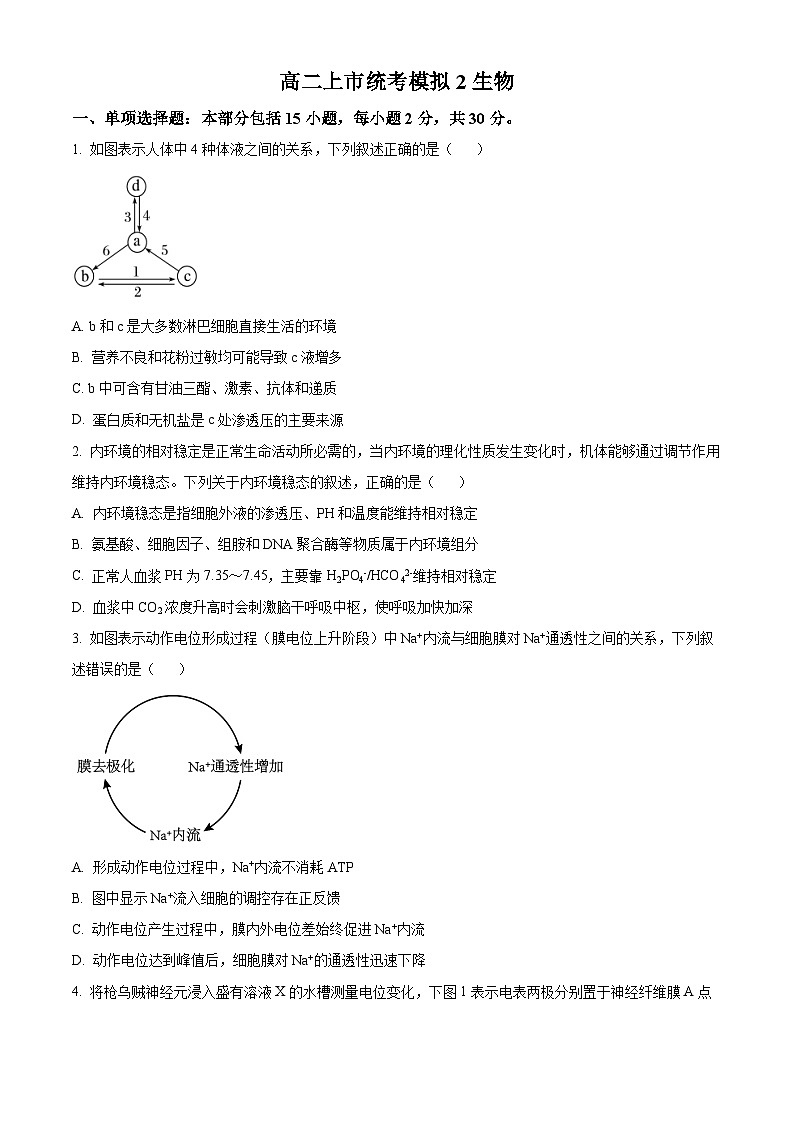 江苏省南京市某校2024-2025学年高二上学期第二次月考（期中模拟）生物试题（Word版附答案）01