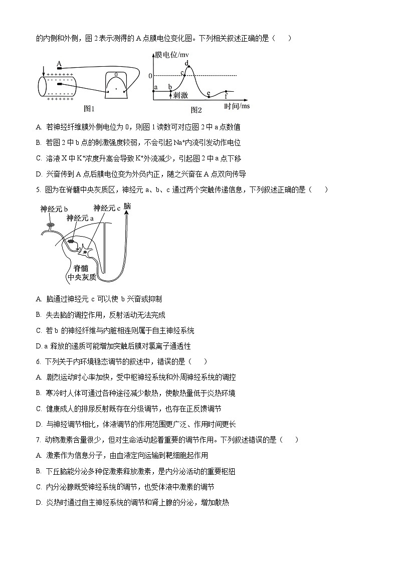 江苏省南京市某校2024-2025学年高二上学期第二次月考（期中模拟）生物试题（Word版附答案）02