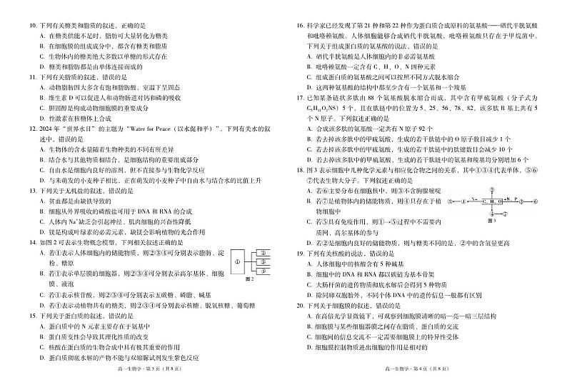 云南师范大学附属中学2024-2025学年高一上学期期中考试生物试题（PDF版附解析）第2页
