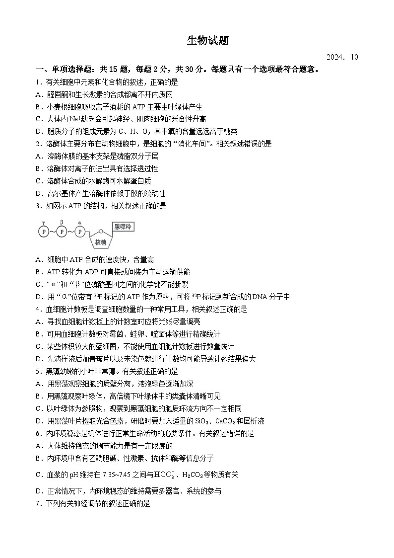 江苏省海安高级中学2024-2025学年高三上学期10月月考生物试题（Word版附答案）第1页