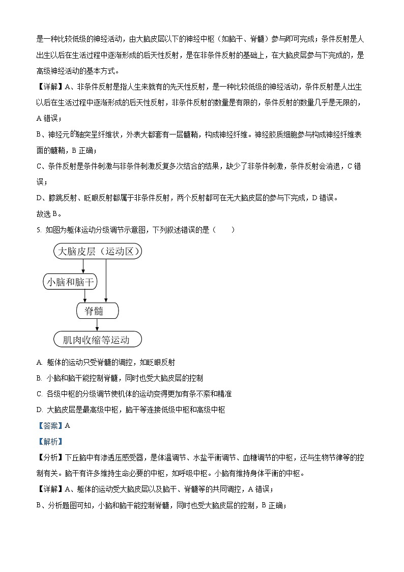 河北省衡水市武强中学2024-2025学年高二上学期期中考试生物试题（Word版附解析）03