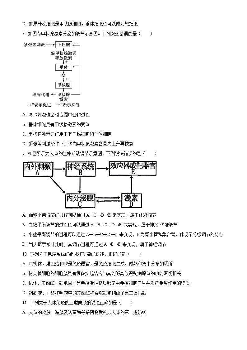 河北省衡水市武强中学2024-2025学年高二上学期期中考试生物试题（Word版附解析）03