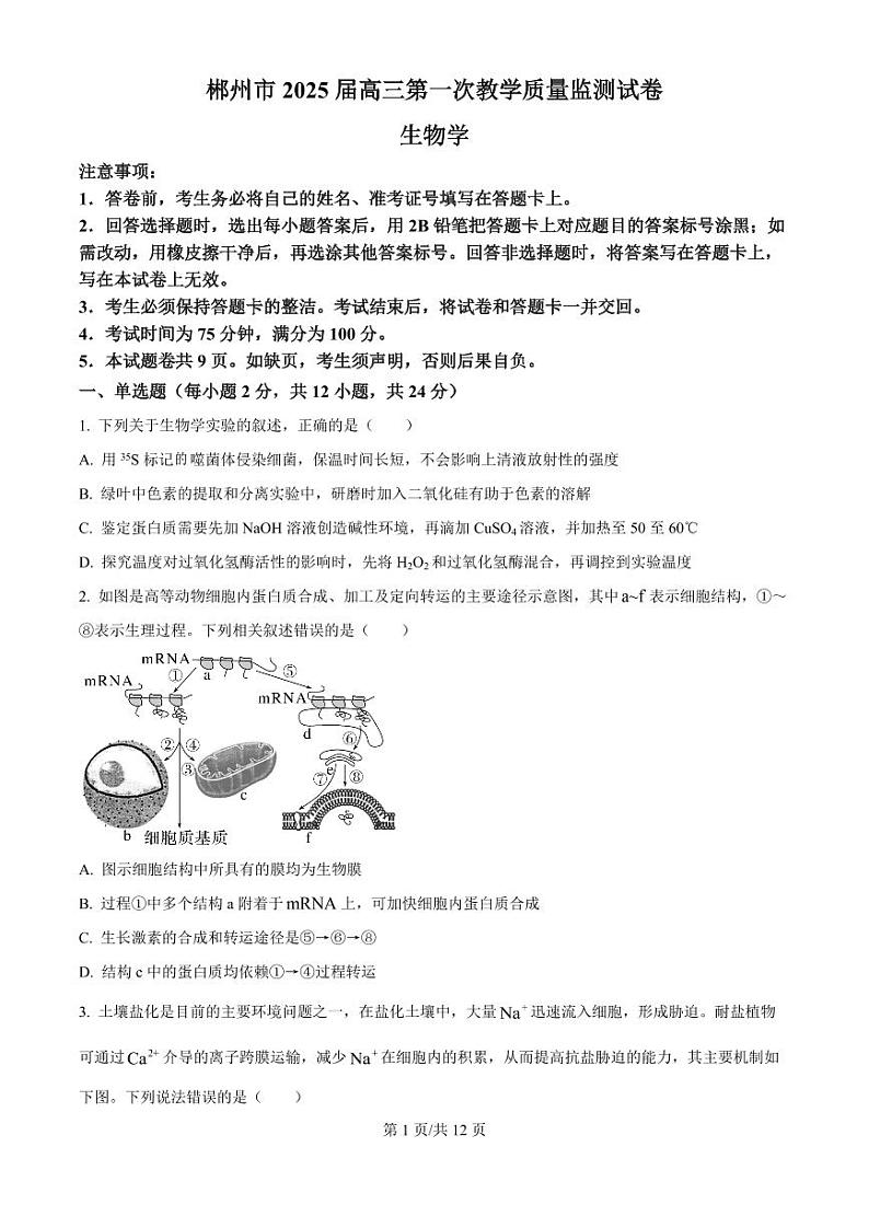2025届湖南省郴州市高三上学期10月月考-生物试题+答案第1页