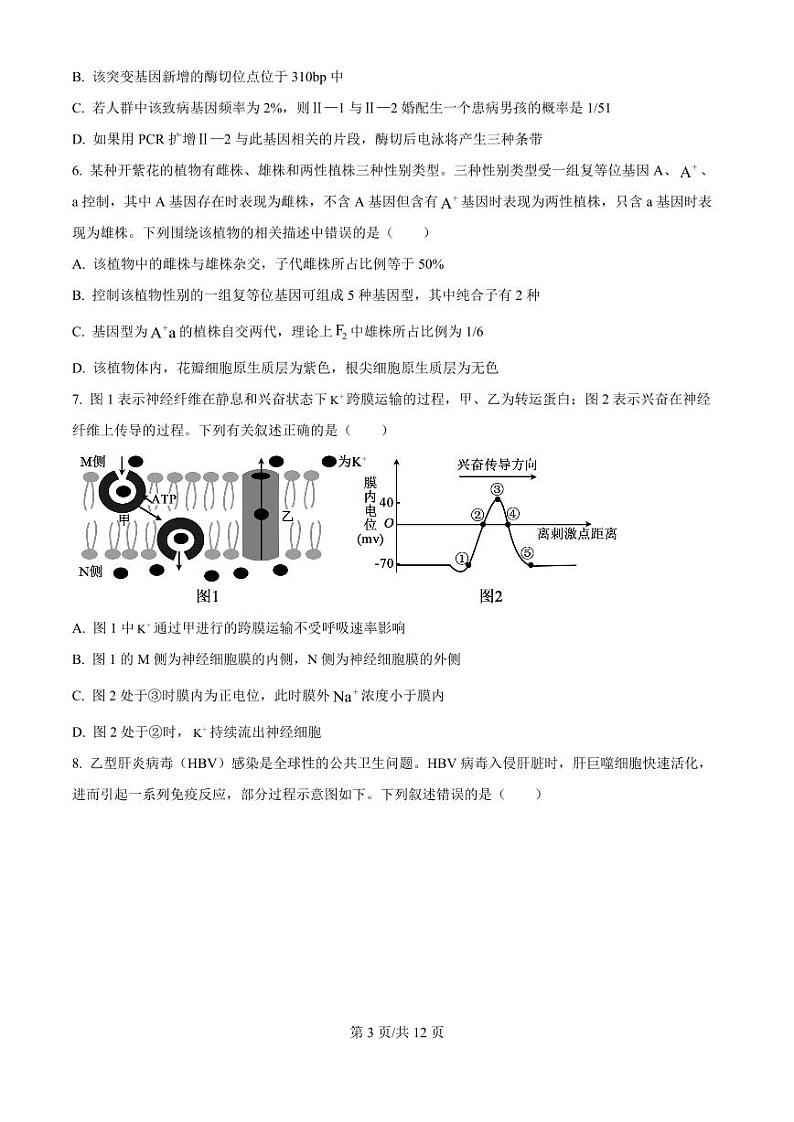 2025届湖南省郴州市高三上学期10月月考-生物试题+答案第3页