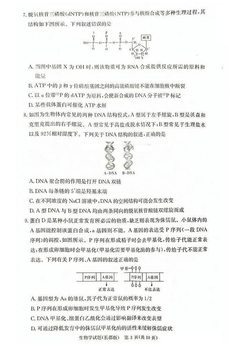 2025届湖南省”炎德英才“长郡中学高三上学期10月月考-生物试卷+答案第3页