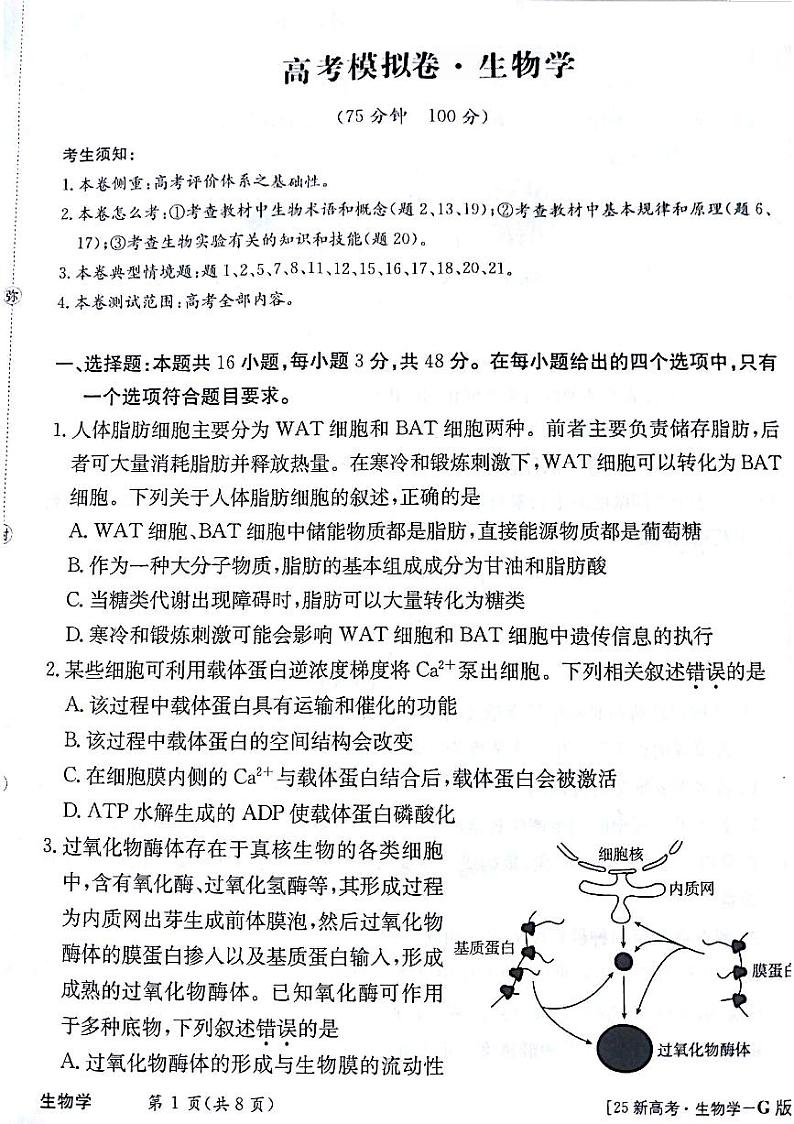 甘肃省白银市靖远县第二中学2024-2025学年高三上学期11月期中考试生物试题第1页