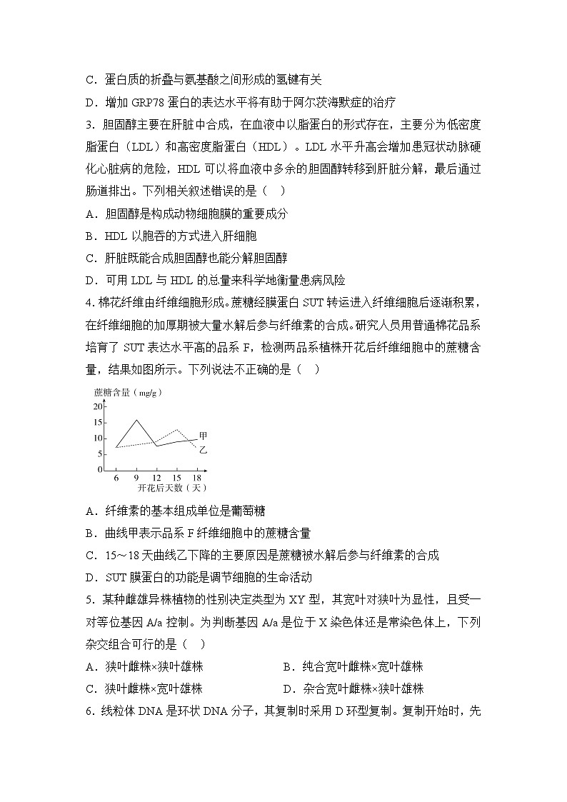 湖南省名校2024-2025学年高三上学期10月联考生物试题（Word版附解析）02