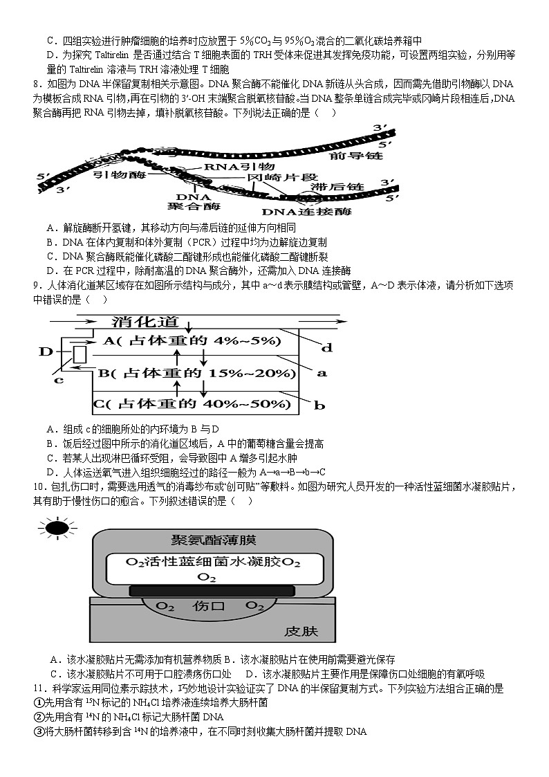 河南省许昌高级中学2024-2025学年高三上学期10月月考生物试题（Word版附解析）第3页
