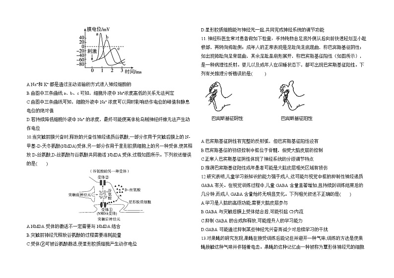 山东省菏泽市山东省2024-2025学年高二上学期10月月考生物试题第3页