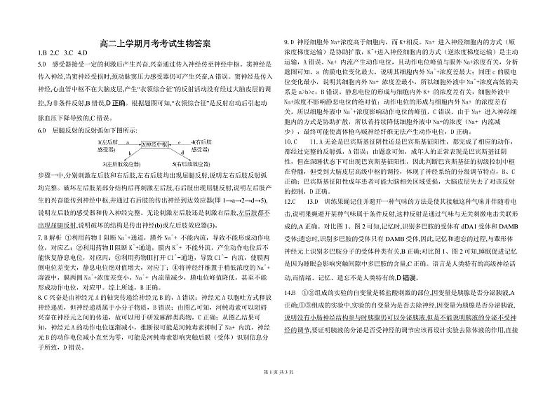 生物月考试题 答案第1页