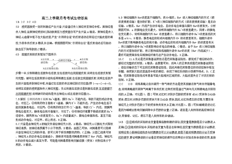 生物月考试题 答案第1页