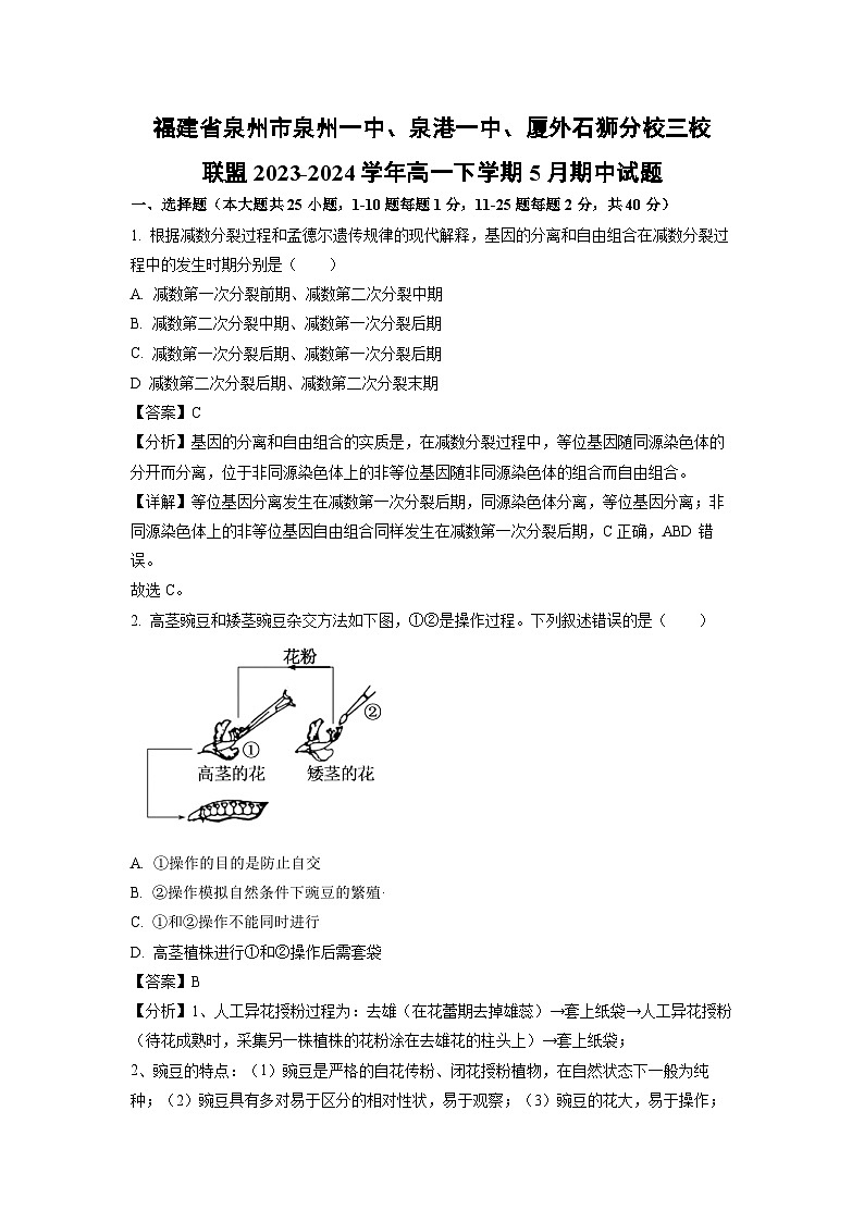 福建省泉州市泉州一中、泉港一中、厦外石狮分校三校联盟2023-2024学年高一下学期5月期中生物试卷(解析版)第1页