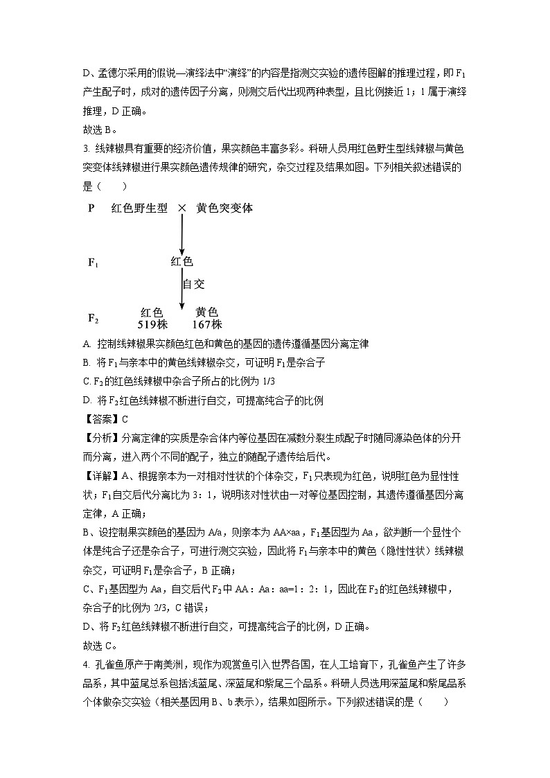 黑龙江省鸡西市鸡冠区第一中学2023-2024年高一下学期期中考试(十校联考)生物试卷(解析版)02