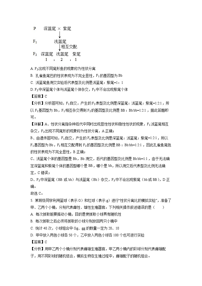 黑龙江省鸡西市鸡冠区第一中学2023-2024年高一下学期期中考试(十校联考)生物试卷(解析版)03