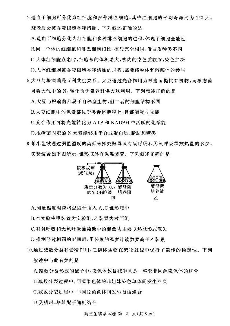 湖北省部分高中2024-2025学年高三上学期11月期中联考生物试题 第3页