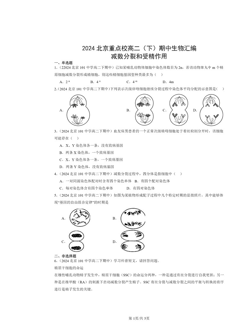 2024北京重点校高二下学期期中真题生物分类汇编：减数分裂和受精作用第1页